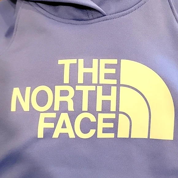 ❣️H.P.❣️The North Face Hooded Pull Over - Picture 8 of 8